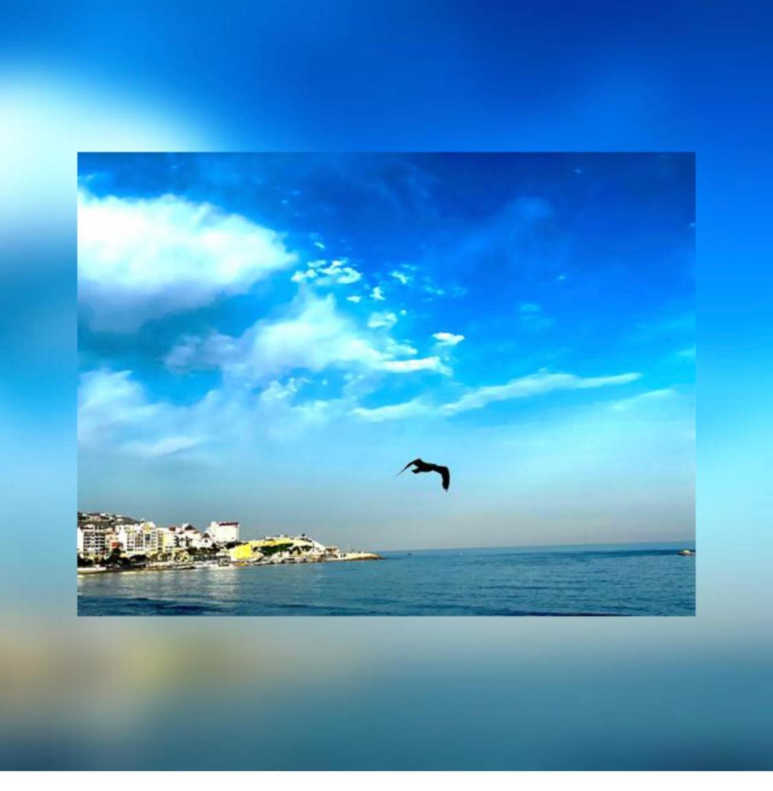 Apartamento Frente Al Mar Benidorm Eksteriør bilde